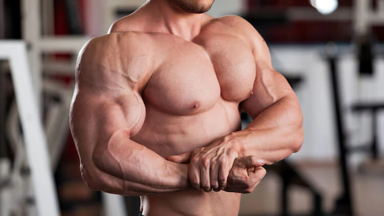 Top Steroid Manufacturers Known for Quality Products