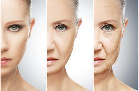 Fighting the Skin Aging with Saypha®